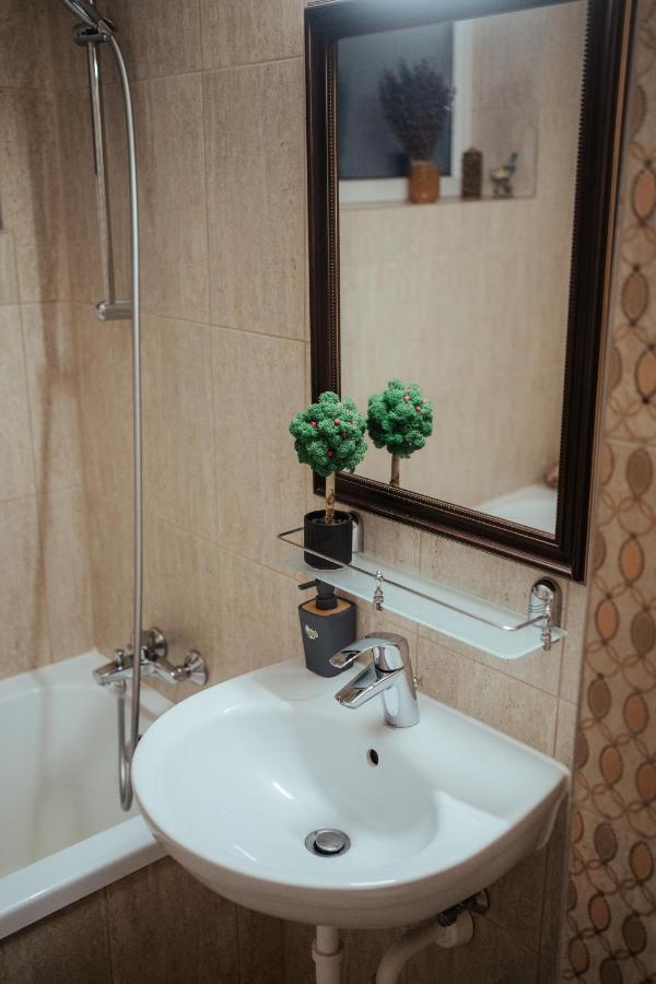 Luxury Apartments Şelimbăr 外观 照片